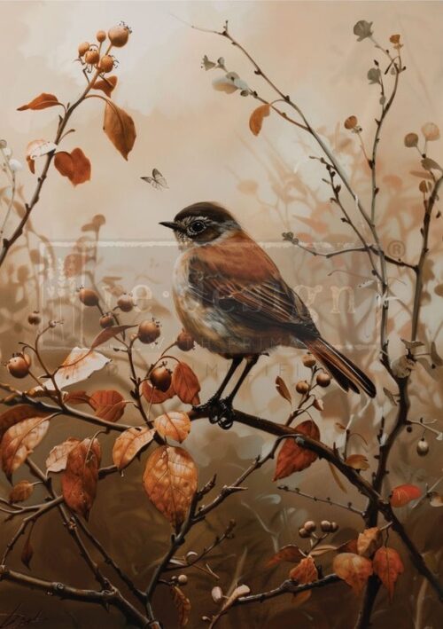 Sunlit Songbird - Papier Découpage Fibre A1 Redesign with Prima