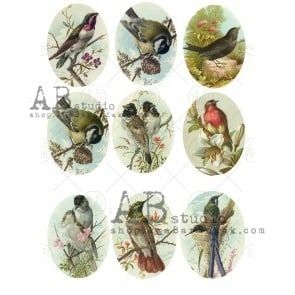 ID-0564 Papier de Riz