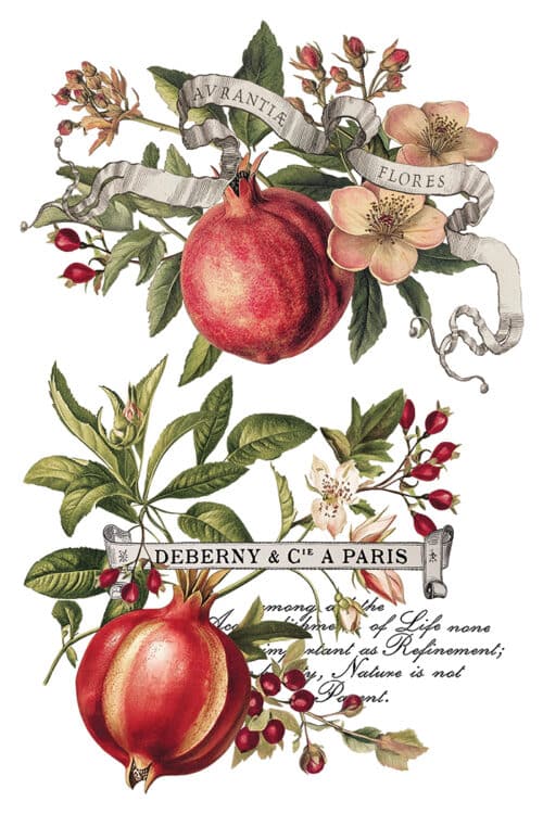 Clementine - Transfert IOD - 20,32 x 30,48 cm – Image 8