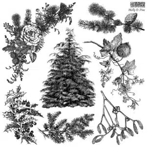Holly & Pine – Tampon IOD