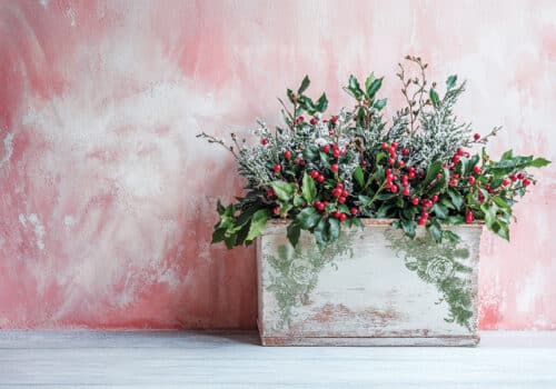 Holly & Pine – Tampon IOD – Image 2