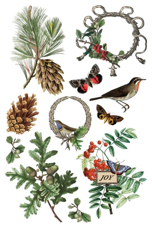 Winter Botanist - Transfert IOD - 20,32 x 30,48 cm – Image 9