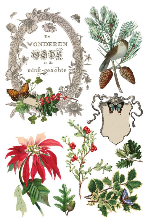 Winter Botanist - Transfert IOD - 20,32 x 30,48 cm – Image 8