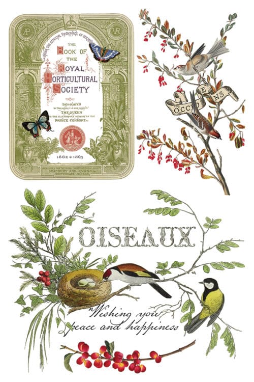 Winter Botanist - Transfert IOD - 20,32 x 30,48 cm – Image 7