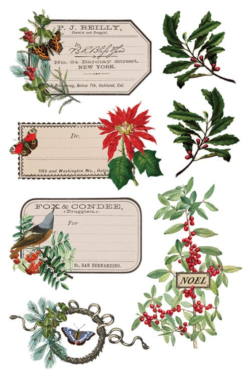 Winter Botanist - Transfert IOD - 20,32 x 30,48 cm – Image 6