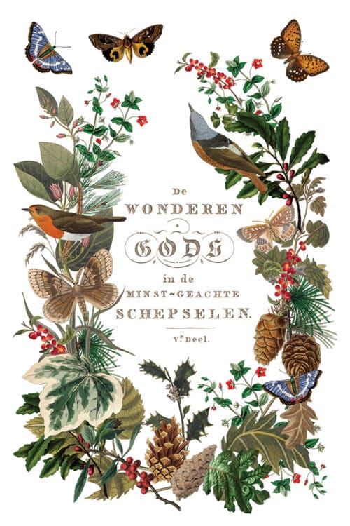 Winter Botanist - Transfert IOD - 20,32 x 30,48 cm – Image 5