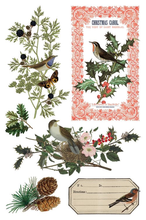 Winter Botanist - Transfert IOD - 20,32 x 30,48 cm – Image 4