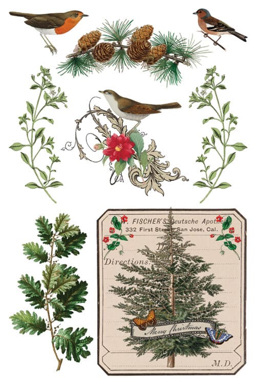 Winter Botanist - Transfert IOD - 20,32 x 30,48 cm – Image 2