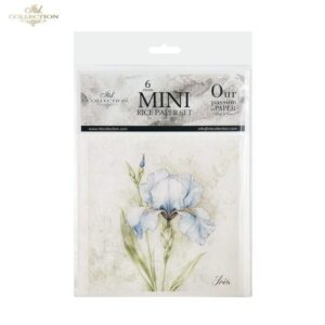 RSM173 - set de 6 papier de riz