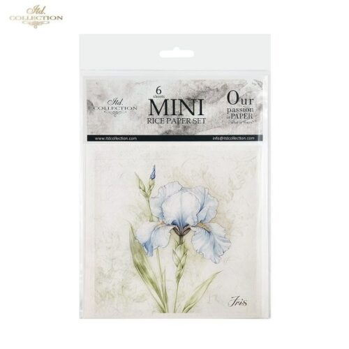 RSM173 - set de 6 papier de riz