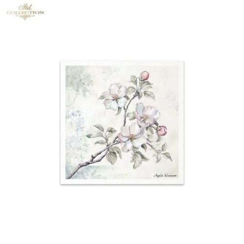 RSM176 - set de 6 papier de riz – Image 6