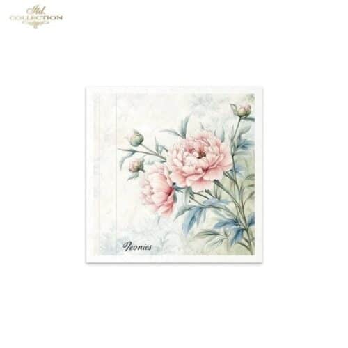 RSM177 - set de 6 papier de riz – Image 6