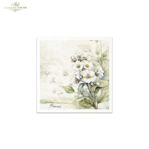 RSM173 - set de 6 papier de riz – Image 7