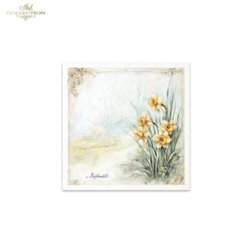 RSM173 - set de 6 papier de riz – Image 6
