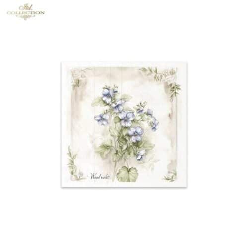 RSM174 - set de 6 papier de riz – Image 8