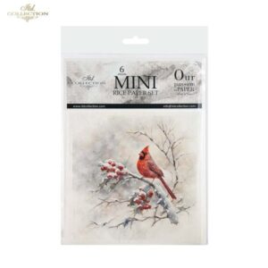 RSM147 - set de 6 papier de riz