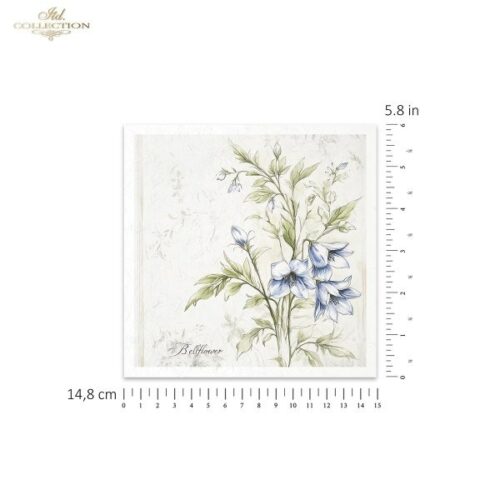 RSM174 - set de 6 papier de riz – Image 3