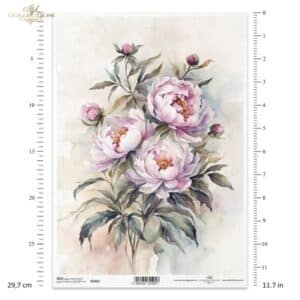 R2463 Papier de riz