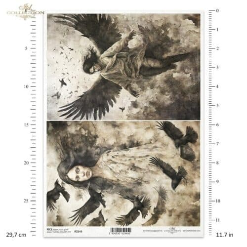 R2549 Papier de riz