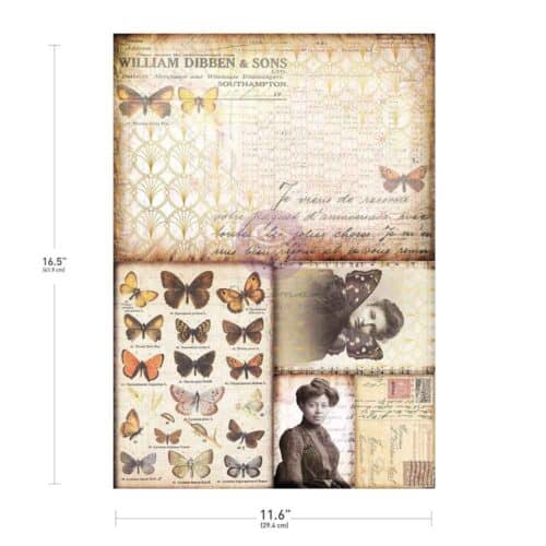 Southampton Butterflies – Papier Découpage Fibre A3 Finnabair with Prima