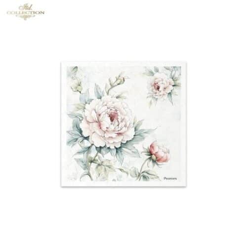RSM177 - set de 6 papier de riz – Image 8