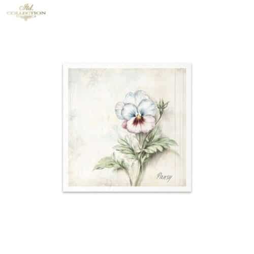 RSM174 - set de 6 papier de riz – Image 6