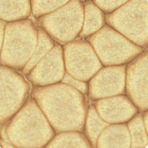 Peinture Fantasy Prisme Pébéo - Coffret Découverte Exploration - 12x20ml – Image 7