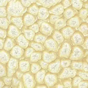 Peinture Fantasy Prisme Pébéo - Blanc Coquille 20