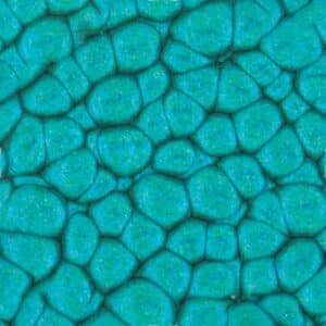 Peinture Fantasy Prisme Pébéo - Turquoise 40