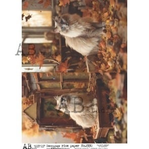 ID-2330 - Papier de riz A4