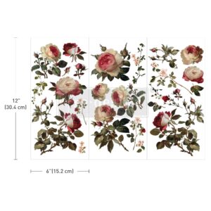 Midnight Rose – Mini Transfert