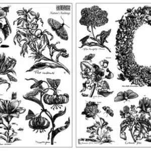 Nature's Etchings – Tampon IOD (2 Planches)