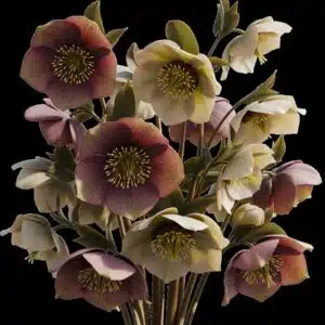 Still in Bloom MINT by Michelle - Papier Découpage